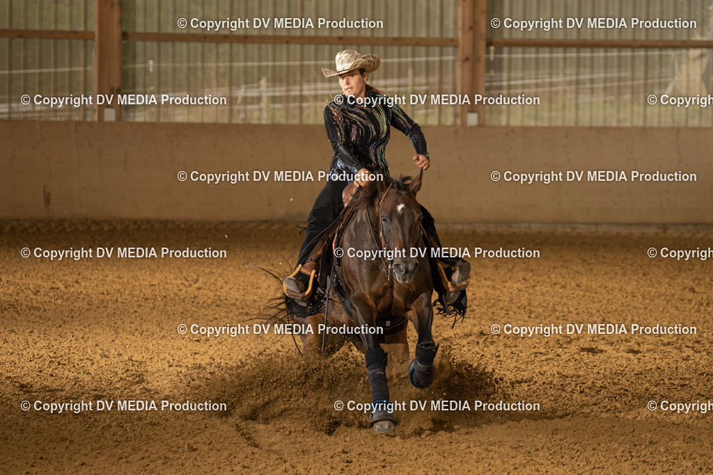 LAU00886 | dv-media-shop - Realisiert mit Pictrs.com