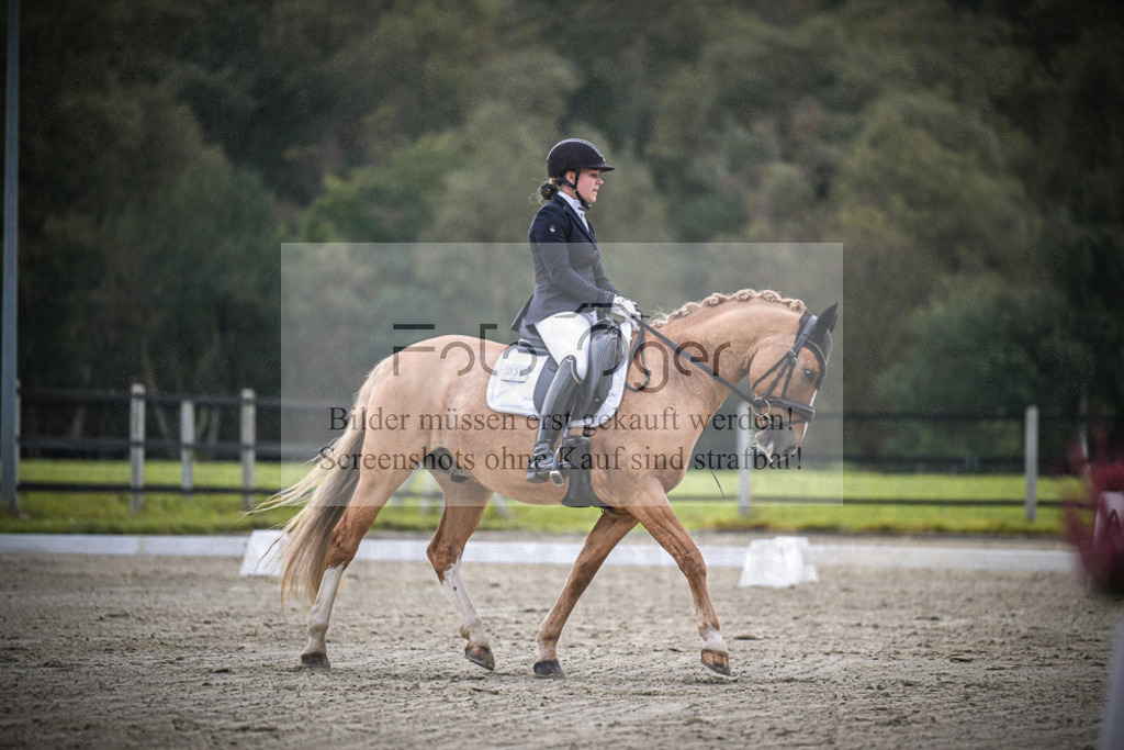 DOS_1979 | Entdecke hochwertige Reitturnierfotos von Foto Oger. Professionell, emotional und authentisch – jetzt Lieblingsmomente im Shop bestellen.Deutschlandweite Turnierfotografie. - Realisiert mit Pictrs.com