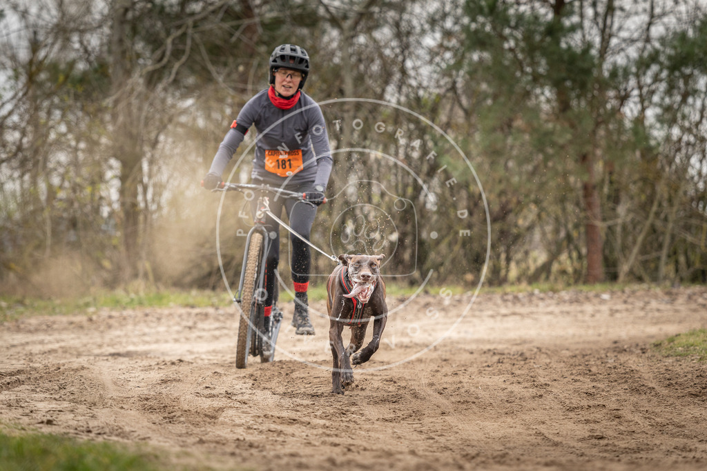 Pfotenfotografie_DV3A0067 | Hundefotografie, Tierfotograf, Pfotenfotografie, Fotoshooting Hund, Hunde Portrait, Hundesport, Hundeportraits, Heideshooting, Hunde, Sportfotograf, Hundefotograf, Turnierhundsport, THS,  - Realisiert mit Pictrs.com