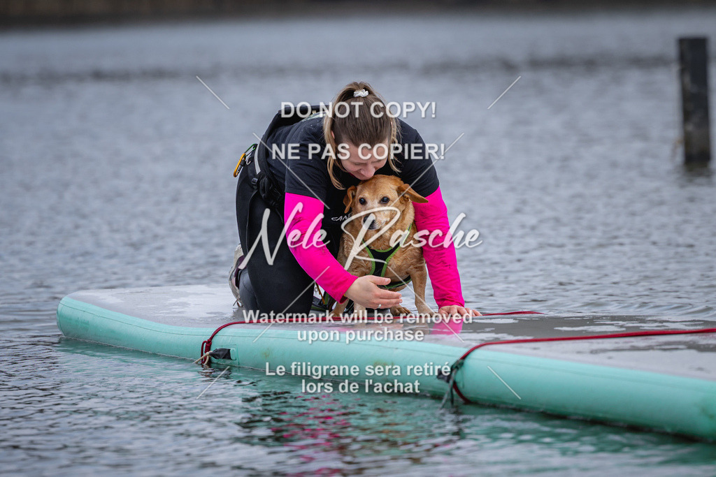 nelerasche_Hulsbeek_Sa1600-1700_577 | nelerasche