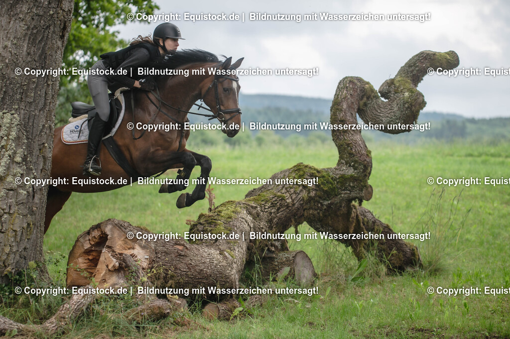 20250726_Vielseitigkeitslehrgang-Marbach_0788 | Foto: Thomas Hartig