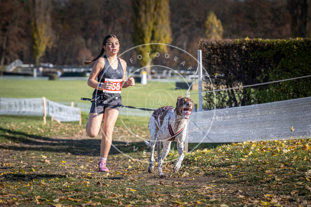CaniXpix_DV3A8624 | Hundefotografie, Tierfotograf, Pfotenfotografie, Fotoshooting Hund, Hunde Portrait, Hundesport, Hundeportraits, Heideshooting, Hunde, Sportfotograf, Hundefotograf, Turnierhundsport, THS,  - Realisiert mit Pictrs.com