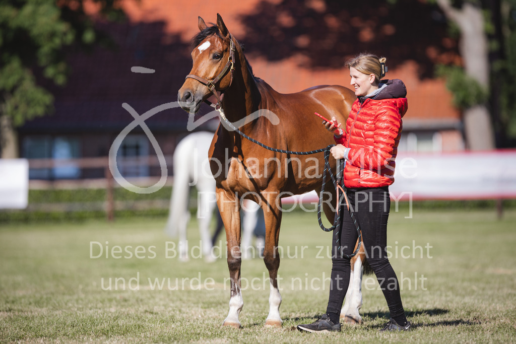 220603_CSI-Wohlde_Chillen-12 | CSI** Wohlde
Chill Out Area
03.06.2022