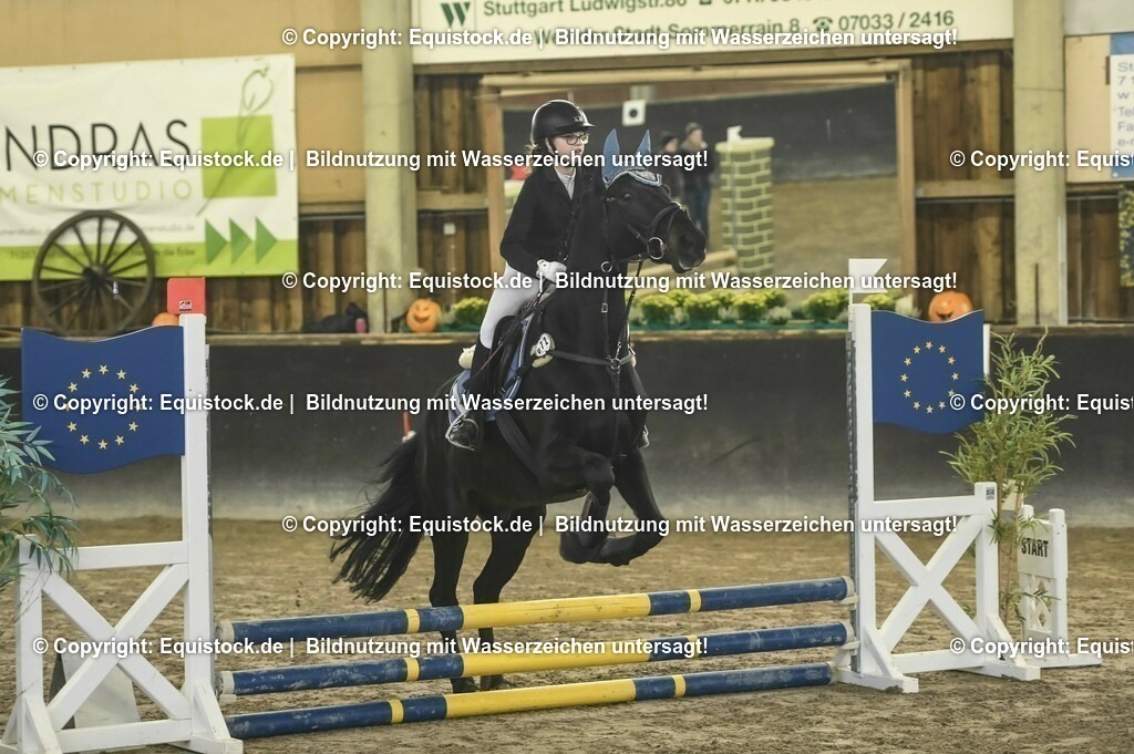 20231029_07_Stilspring-WB-50cm_0005 | Foto: Thomas Hartig