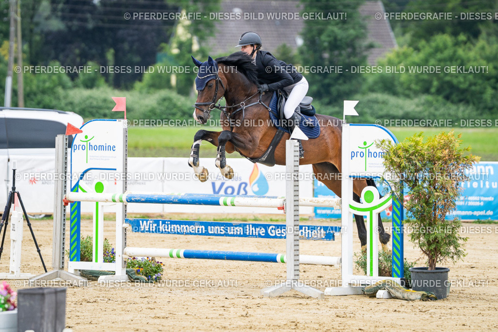 DSC03492 | Pferdegrafie