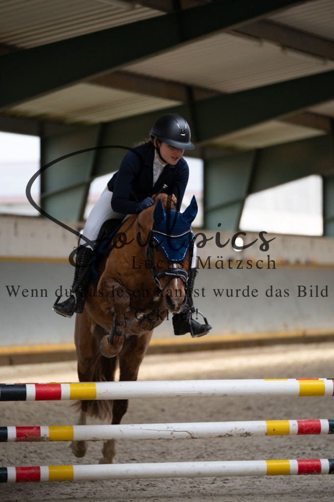 A7V04043 | Pferdefotograf