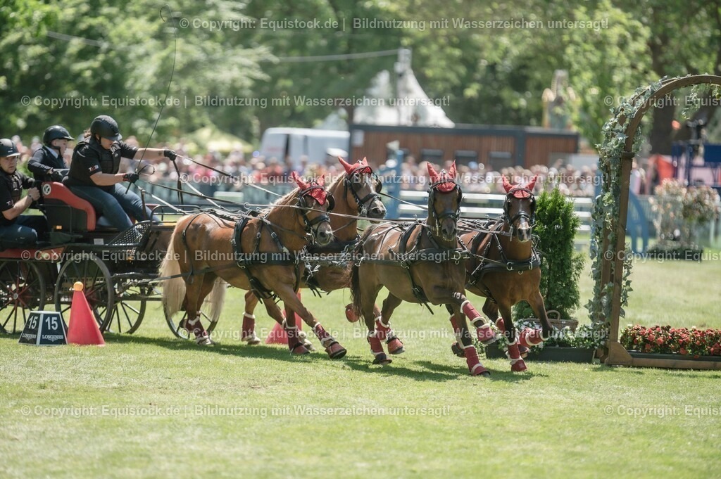 20230528_Jump-and-Drive_0063 | equistock
