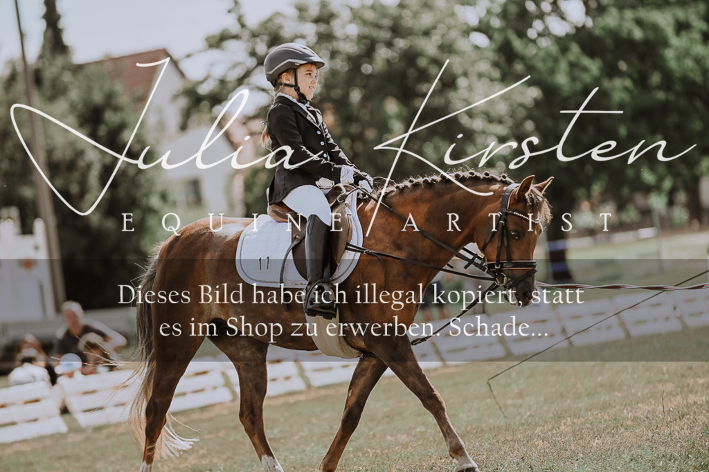 DSC_7609 | Pferde- und Turnierfotografie in Westsachsen. Pferdeportraits, Auftragszeichnungen und intuitive Kunst.
