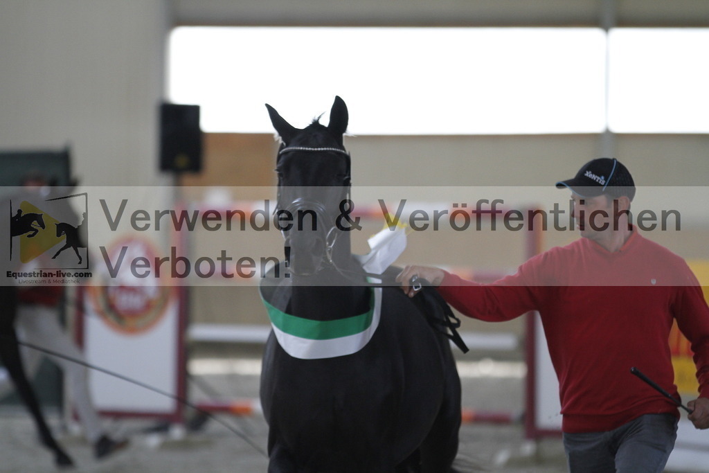 _MG_0120 | equestrian-live-com