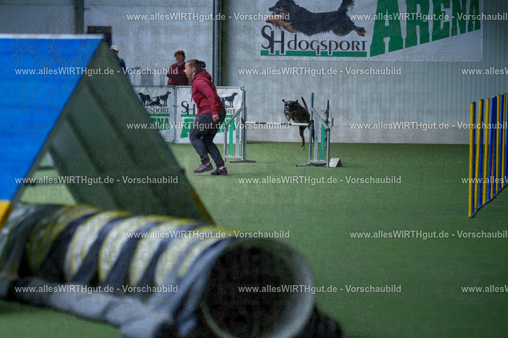 @allesWIRTHgut_Tierfotografie - www.allesWIRTHgut.de - 2604251227-7R501818 | Professionelle Tierfotografie in Mönchengladbach von Daniel Wirth (allesWIRTHgut). Liebevolle & natürliche Bilder von Hunden & Katzen für unvergessliche Erinnerungen.