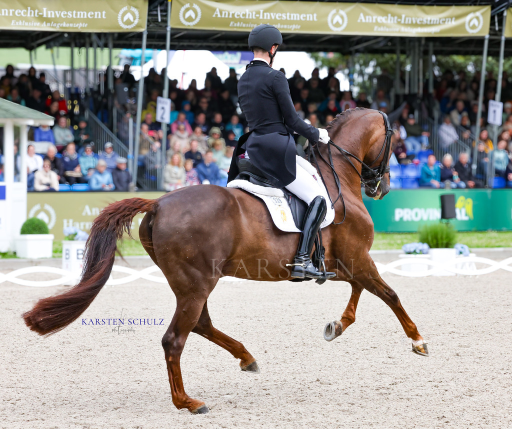 IMG_0116 | Reitsport Reiten