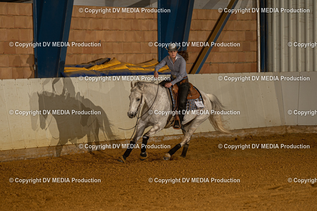 MIT00566 | dv-media-shop - Realisiert mit Pictrs.com