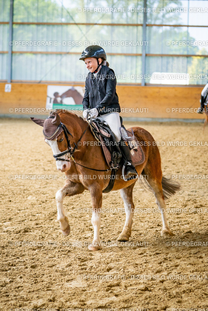 DSC03097 | Pferdegrafie