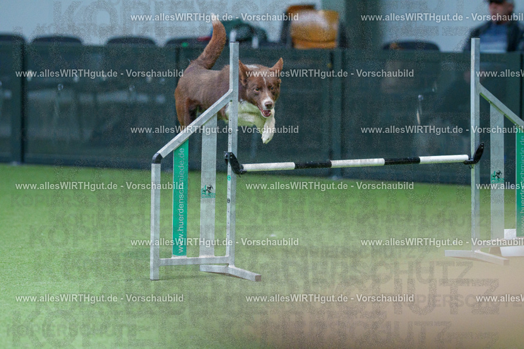 @allesWIRTHgut_Tierfotografie - www.allesWIRTHgut.de - 2604251107-7R501210 | Professionelle Tierfotografie in Mönchengladbach von Daniel Wirth (allesWIRTHgut). Liebevolle & natürliche Bilder von Hunden & Katzen für unvergessliche Erinnerungen.