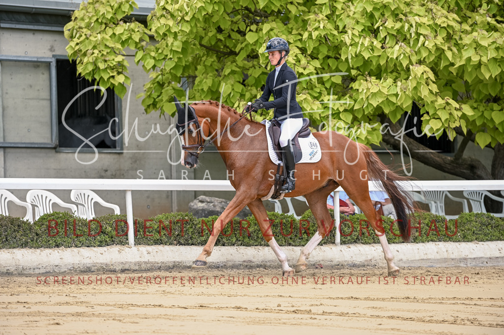 Schugtsche-Aluta25-48.Reitpferfdeprf.-138 | Schugtsche Fotografie - Realisiert mit Pictrs.com