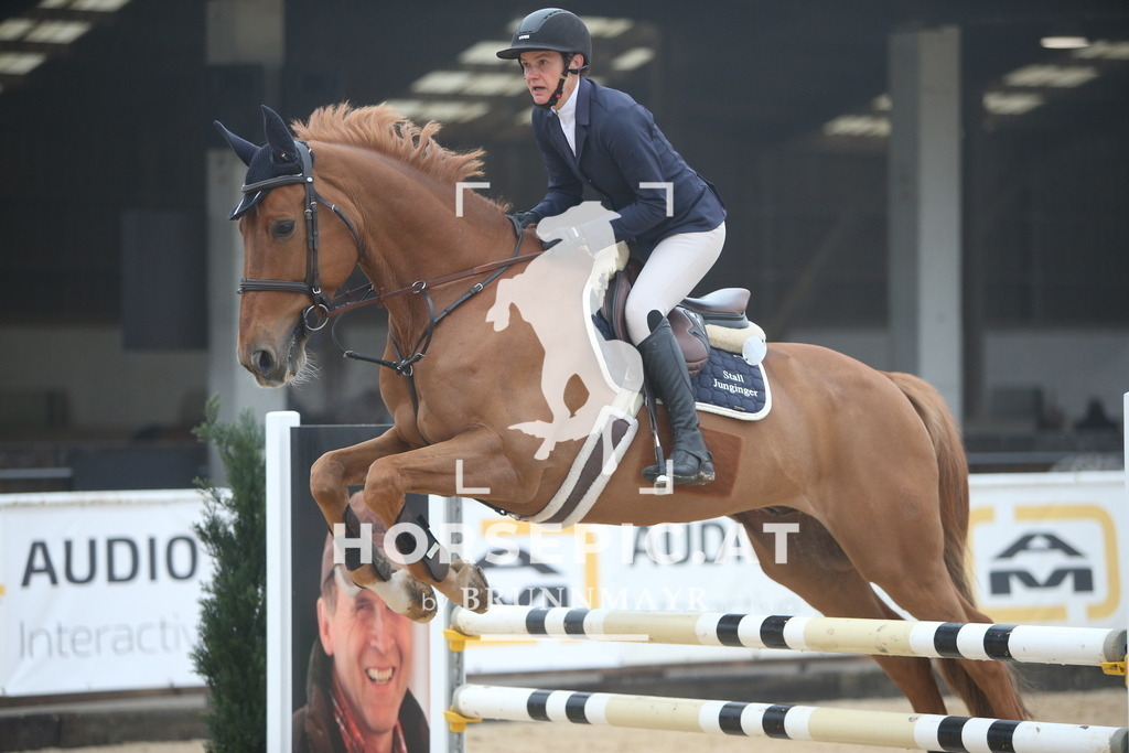 PP012673 | Willkommen bei Brunnmayr - Design & Fotografie – Ihrem Spezialisten für Reitturniere und Pferdeveranstaltungen in Oberösterreich, Salzburg und Bayern! Seit über 17 Jahren sind wir leidenschaftlich dabei.