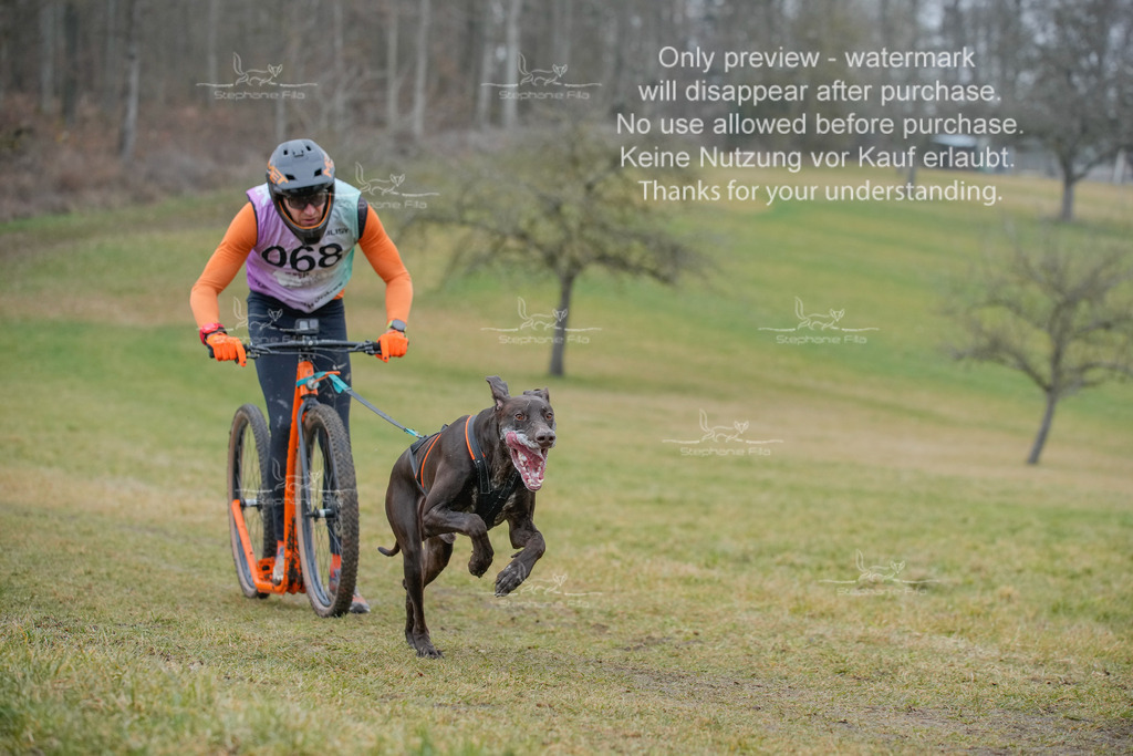 Sa_Scooter1-4 | stephaniefillaphotographie - Realisiert mit Pictrs.com