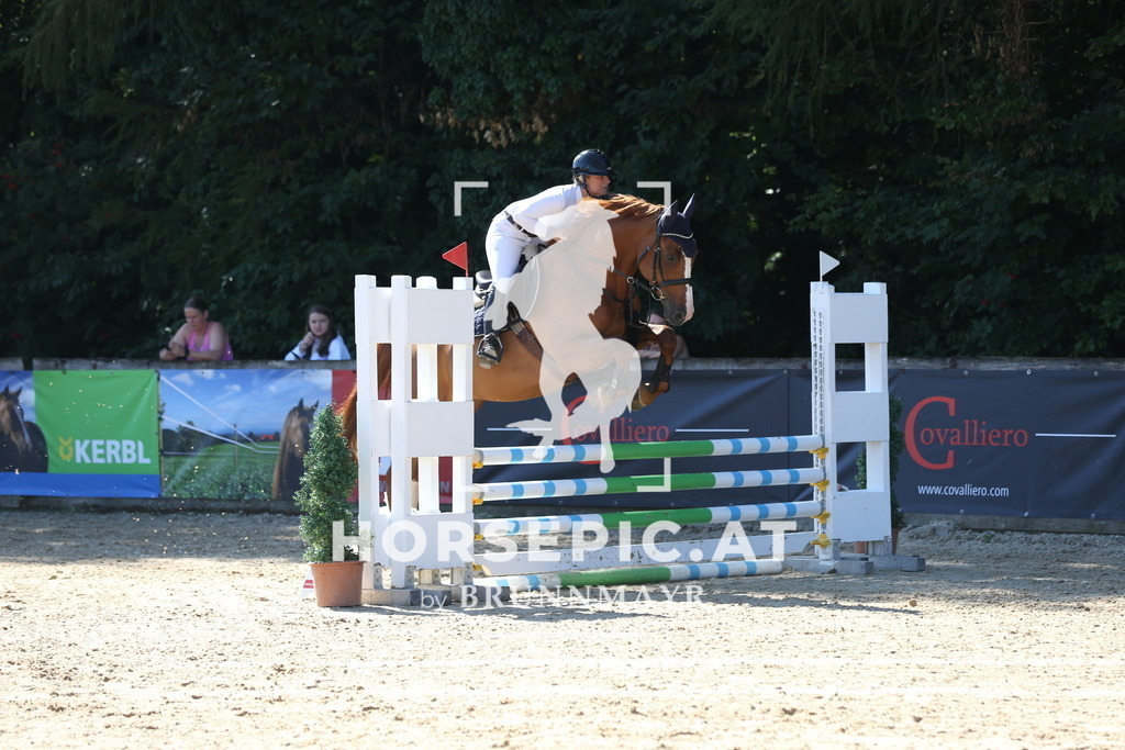 DL2Q8169 | Willkommen bei Brunnmayr - Design & Fotografie – Ihrem Spezialisten für Reitturniere und Pferdeveranstaltungen in Oberösterreich, Salzburg und Bayern! Seit über 17 Jahren sind wir leidenschaftlich dabei.