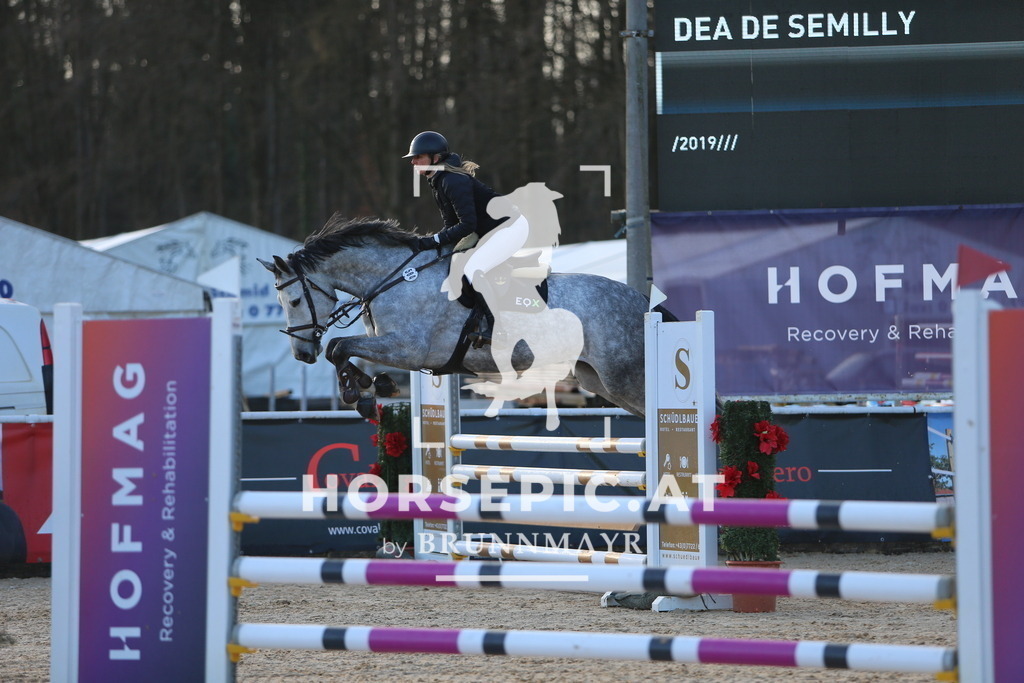 DL2Q7784 | Willkommen bei Brunnmayr - Design & Fotografie – Ihrem Spezialisten für Reitturniere und Pferdeveranstaltungen in Oberösterreich, Salzburg und Bayern! Seit über 17 Jahren sind wir leidenschaftlich dabei.