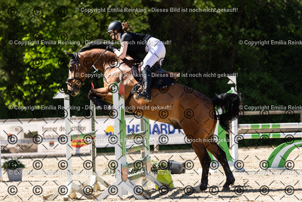 CL5A2915 | Emilia Reinking Fotografie - Realisiert mit Pictrs.com