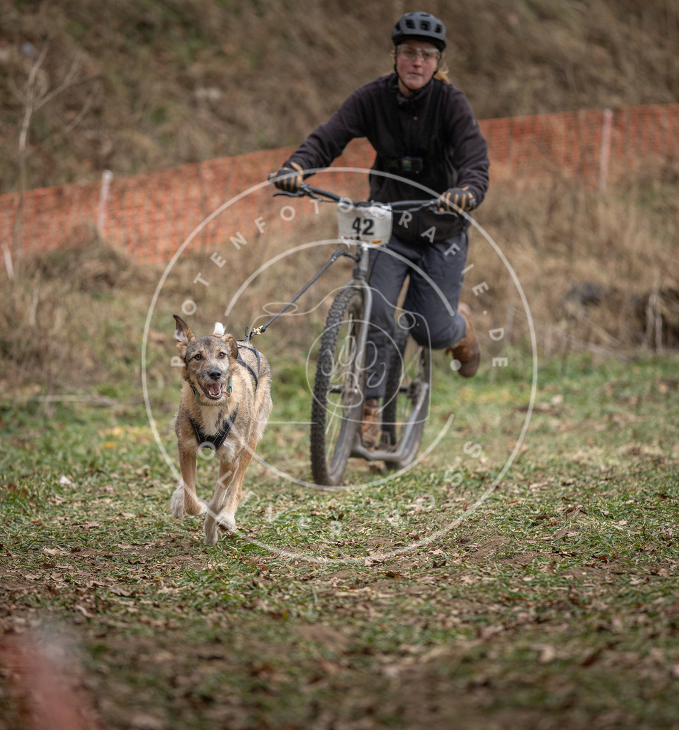 Pfotenfotografie_DV3A0515 | Hundefotografie, Tierfotograf, Pfotenfotografie, Fotoshooting Hund, Hunde Portrait, Hundesport, Hundeportraits, Heideshooting, Hunde, Sportfotograf, Hundefotograf, Turnierhundsport, THS,  - Realisiert mit Pictrs.com