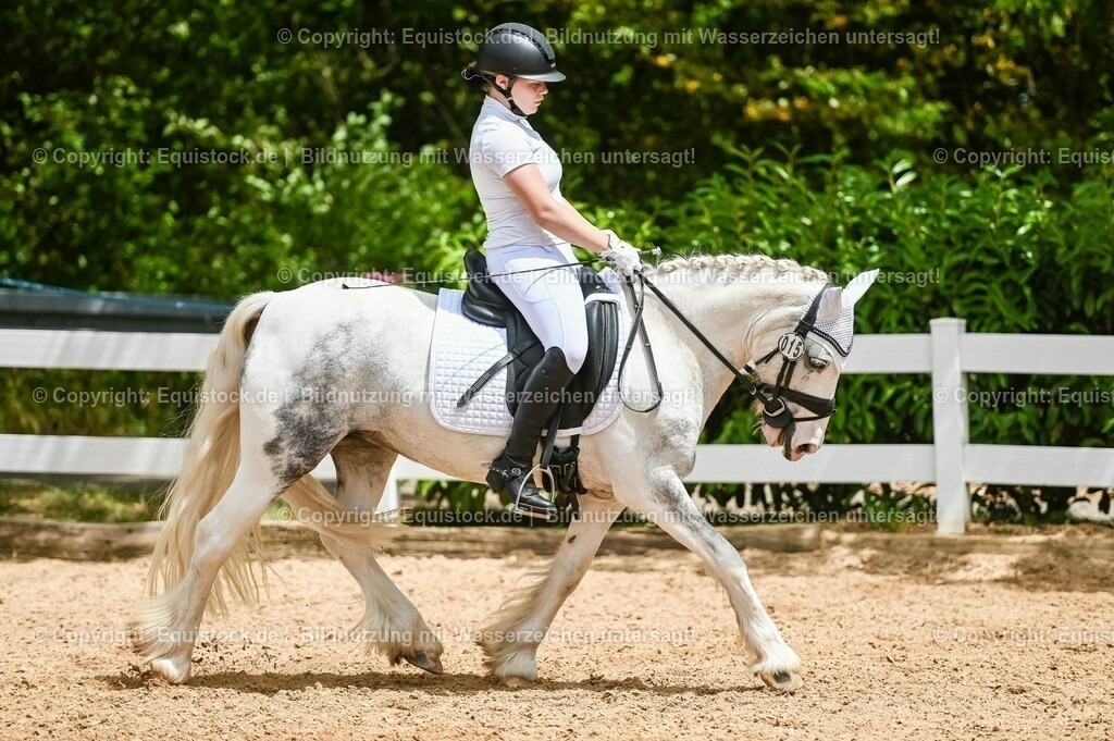 20230715_05_Dressurprüfung Kl.A++_0260 | equistock