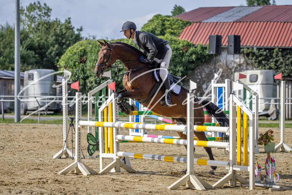 20260905-_3LI7339 | Tierfotografie Pferde, Hunde, Katzen, Haustiere.
Turnierfotografie Reitturniere, Reiten, Springreiten, Dressur in Hanau, dem Main-Kinzig-Kreis und dem Rhein-Main- Gebiet um Frankfurt
