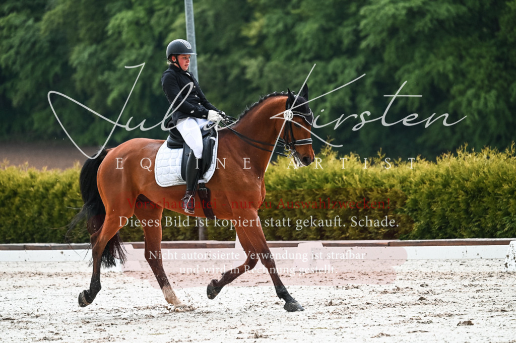 DSC_4383 | Pferde- und Turnierfotografie in Westsachsen. Pferdeportraits, Auftragszeichnungen und intuitive Kunst.