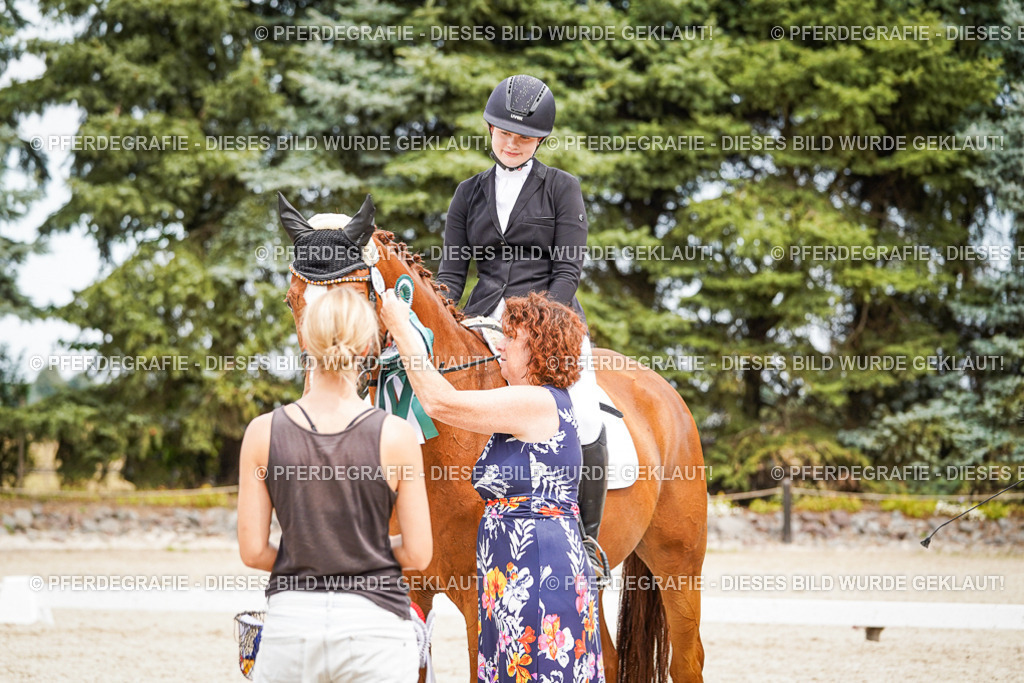 DSC04569 | Pferdegrafie