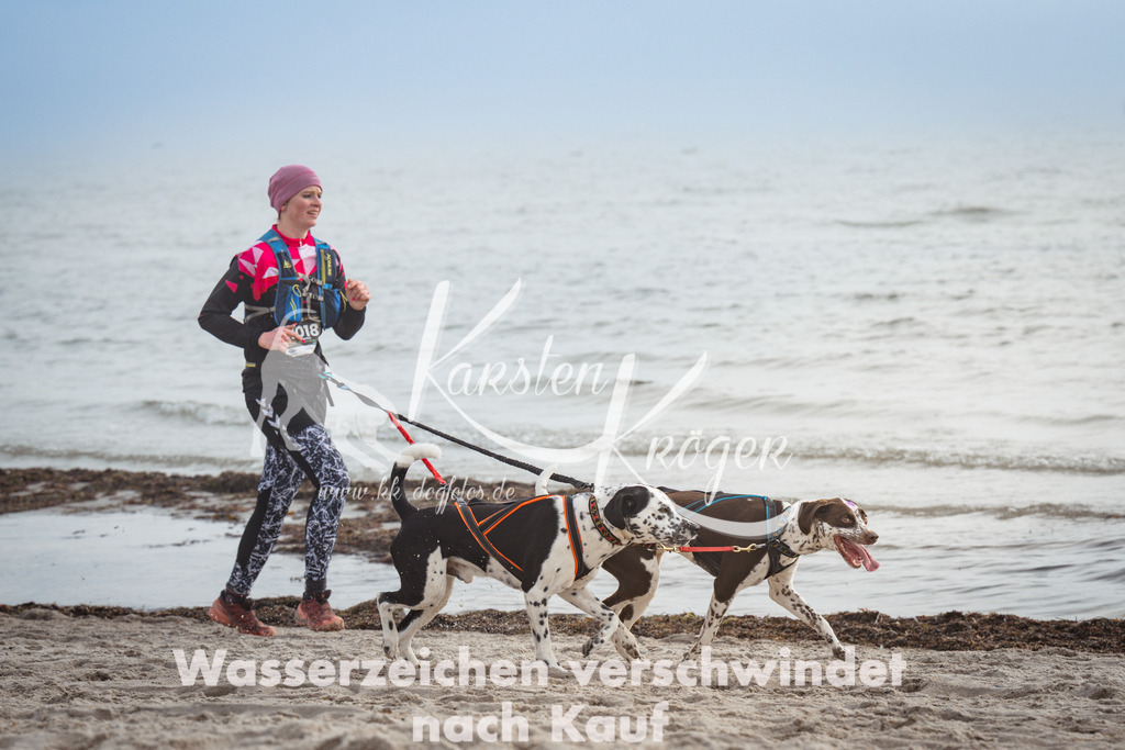 1134_ZZ99392 | kk-dogfotos