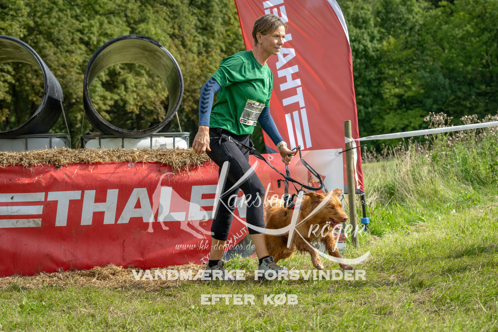 1124_ZZ94141 | kk-dogfotos