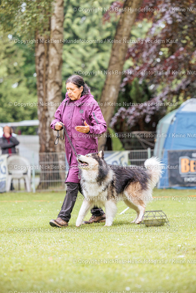 RO-Blumenthal-2026-Nickbest-Hundefotografie-0840 | Dein Hund! Dein Moment! Deine Erinnerungen! Hundefotografie in Bremen Blumenthal. Ich fange die besonderen Momente deines Vierbeiners ein – ob Indoor mit Blitzanlage oder in der freien Natur. Sicher dir dein Moment und dein Termin für eure Erinnerungen.