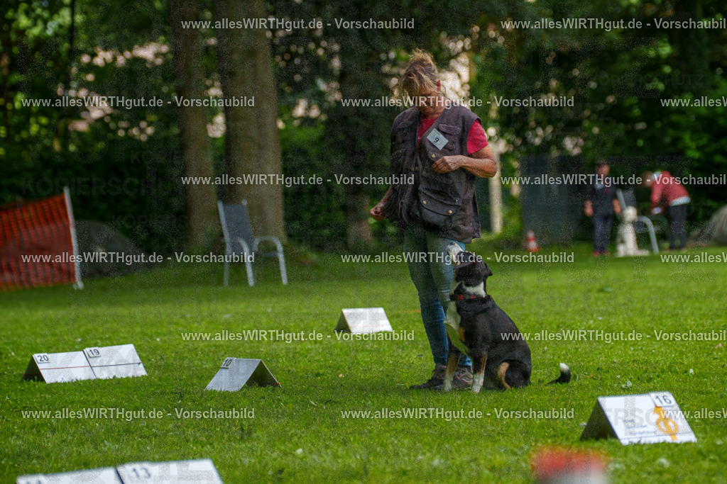 @allesWIRTHgut_Tierfotografie - www.allesWIRTHgut.de - 7R503401 | Professionelle Tierfotografie in Mönchengladbach von Daniel Wirth (allesWIRTHgut). Liebevolle & natürliche Bilder von Hunden & Katzen für unvergessliche Erinnerungen.
