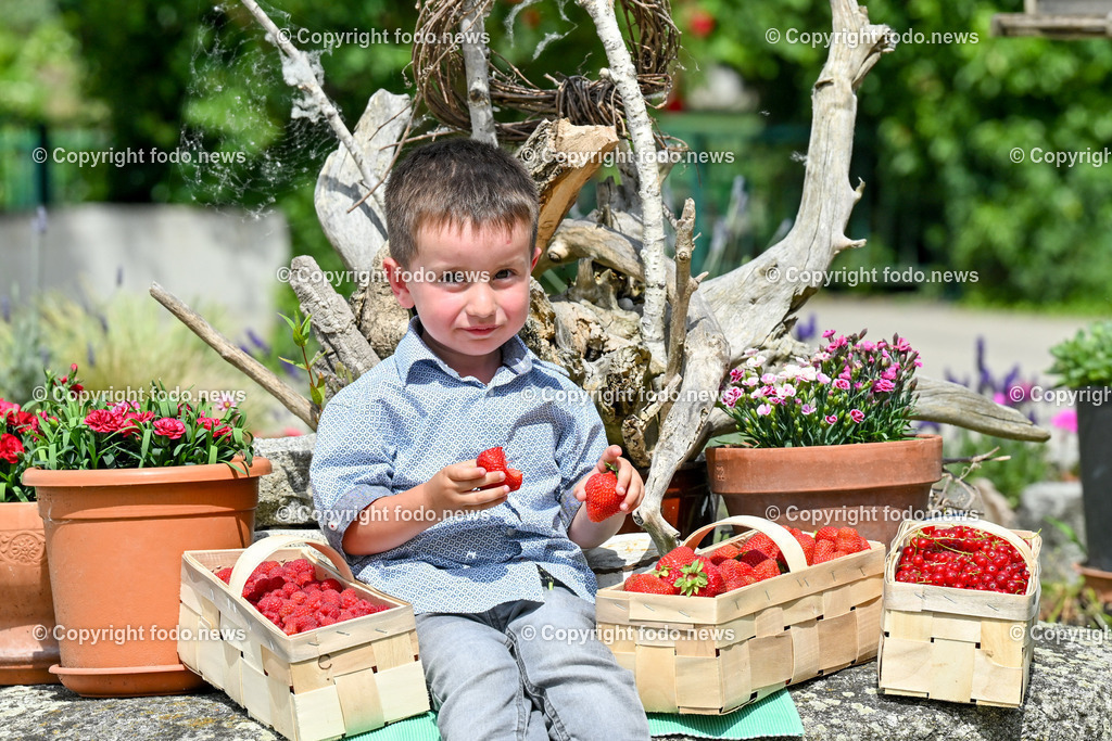 Erdbeeren_ Himbeeren_ Ribisel_ Mayer_ 20.06.2023-27 | 20.06.2023, Raffelding, AUT, Erdbeeren, Himbeeren, Ribisel, Mayer, im Bild Valerian laesst sich die Erdbeeren schmecken, Himbeeren und Ribisel