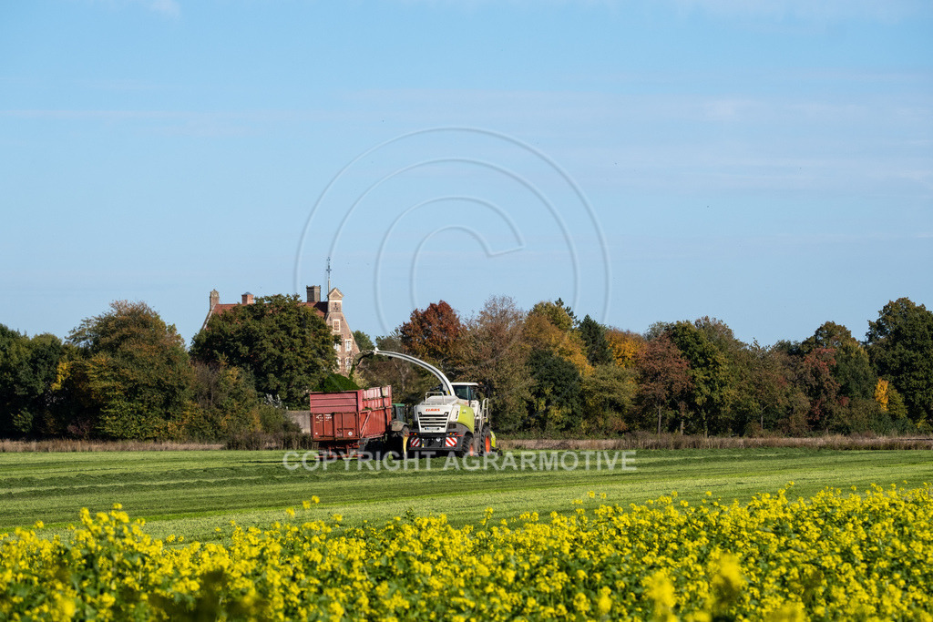 20221012-_DSF9331 | Der letze Grasschnitt im Jahr - Realisiert mit Pictrs.com