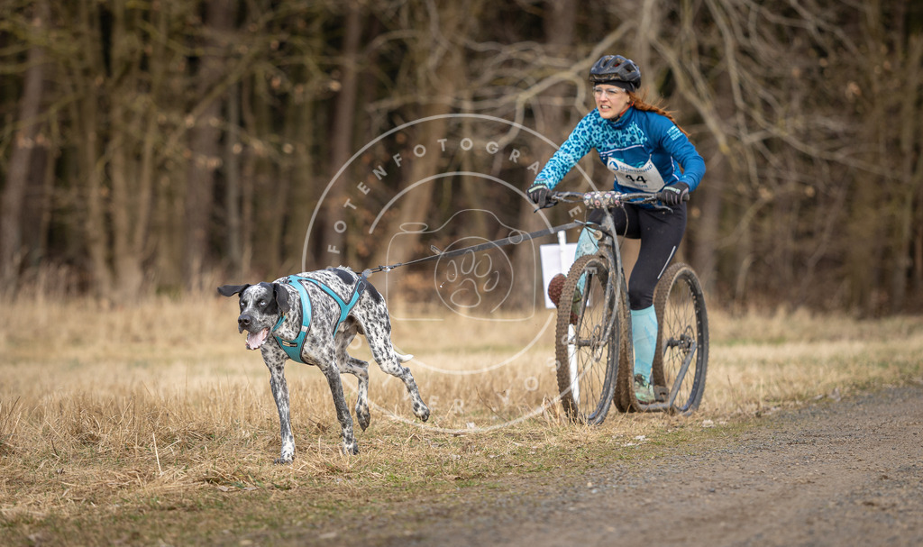 DV3A4652 | Hundefotografie, Tierfotograf, Pfotenfotografie, Fotoshooting Hund, Hunde Portrait, Hundesport, Hundeportraits, Heideshooting, Hunde, Sportfotograf, Hundefotograf, Turnierhundsport, THS,  - Realisiert mit Pictrs.com