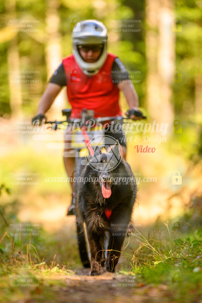 MompixPhotography_Yens2025_B1-90 | PayLife