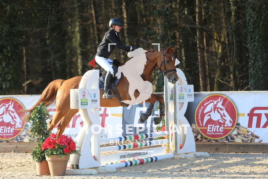 DL2Q1754 | Willkommen bei Brunnmayr - Design & Fotografie – Ihrem Spezialisten für Reitturniere und Pferdeveranstaltungen in Oberösterreich, Salzburg und Bayern! Seit über 17 Jahren sind wir leidenschaftlich dabei.