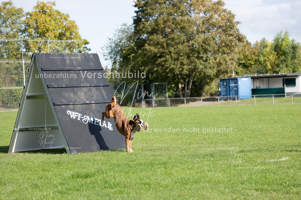 _16A6982 | Einzigartige Fotos von Hunden & Menschen –Actionfotos, Portraits, Vereinsaufnahmen & Paarshootings – authentisch, lebendig & mit Herz.