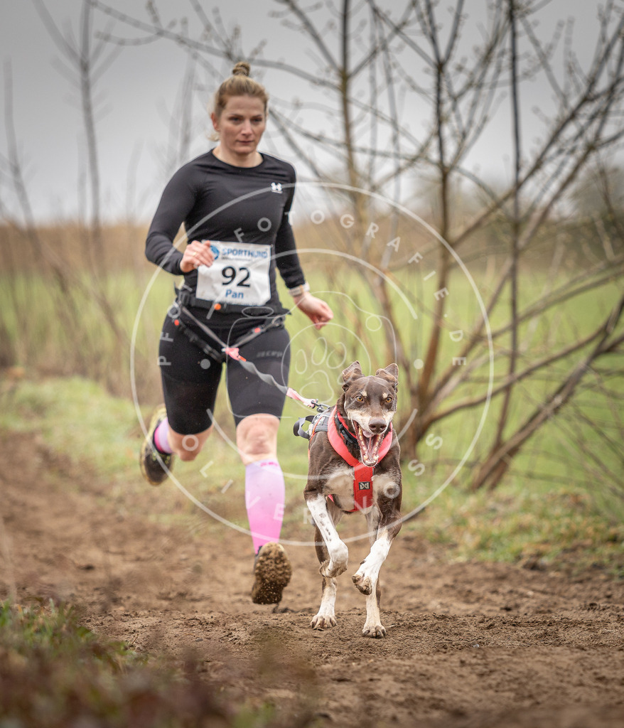 DV3A0015 | Hundefotografie, Tierfotograf, Pfotenfotografie, Fotoshooting Hund, Hunde Portrait, Hundesport, Hundeportraits, Heideshooting, Hunde, Sportfotograf, Hundefotograf, Turnierhundsport, THS,  - Realisiert mit Pictrs.com