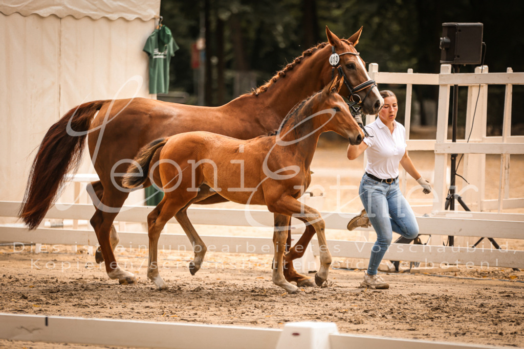 SaPA00185 | Leoni Ertmer Photography - Realisiert mit Pictrs.com