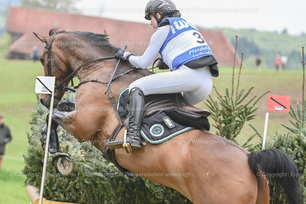 20230513_CCI4_Gelände_0386 | equistock