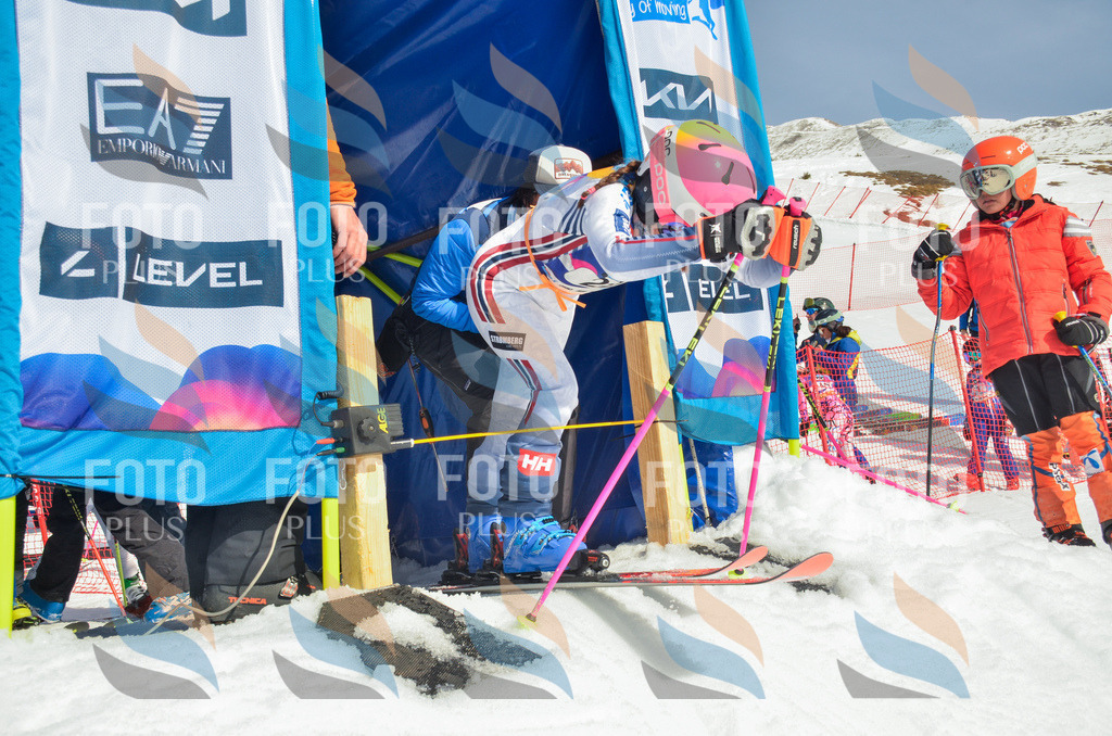 _ELE4754 | holidayphoto