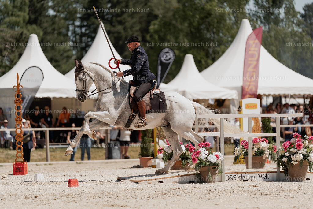 WE_SP_Stoib_327_PI2025_1929 | Pferd International München 2025