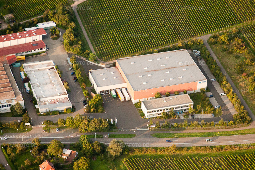 Luftbild: Godramstein, Watts Industries Deutschland GmbH im Ortsteil Godramstein in Landau im Bundesland Rheinland-Pfalz in Deutschland. Foto: IMG_32984.jpg vom 03.09.2010 durch Werner Riehm/FLY-FOTO.de