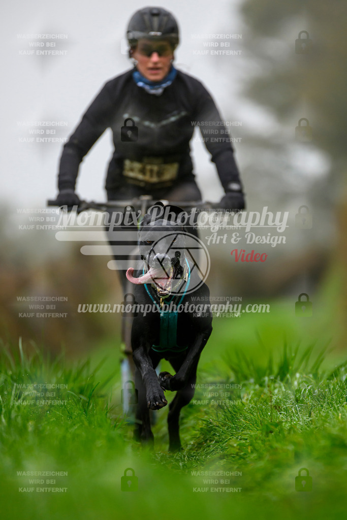MompixPhotography_20TSB_E8_DS1-3 | PayLife