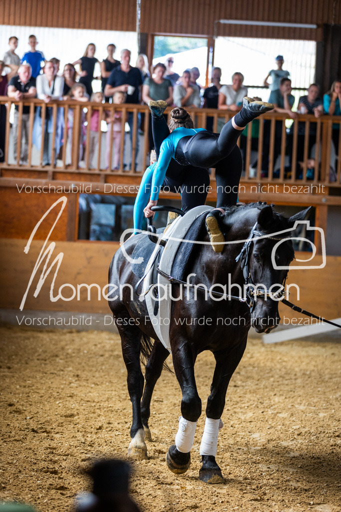 GS-Einsteiger-026 | MomenTaufnahmen Pferdesportfotos