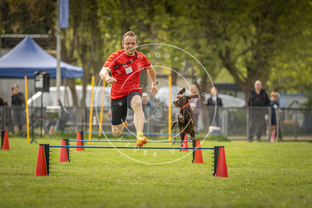 Pfotenfotografie_DV3A6004 | Hundefotografie, Tierfotograf, Pfotenfotografie, Fotoshooting Hund, Hunde Portrait, Hundesport, Hundeportraits, Heideshooting, Hunde, Sportfotograf, Hundefotograf, Turnierhundsport, THS,  - Realisiert mit Pictrs.com