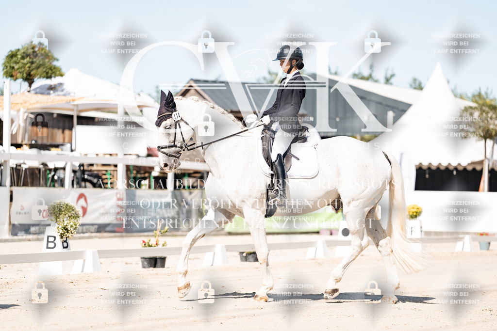 CK908890 | Turnierfotografie Pferdefotografie Trier Rheinland-Pfalz Pferdesport Reitsport Tierfotografie Sportfotografie Pferdevideo Pferdevideografie Equestrianvideography equestrianphotography  - Realisiert mit Pictrs.com