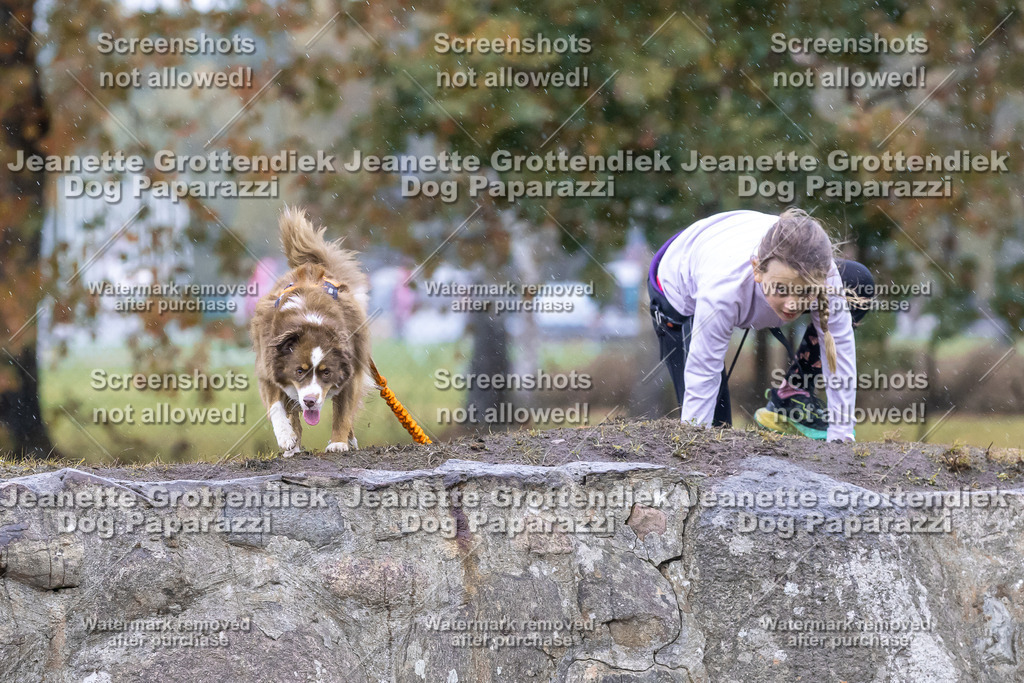 Dog Paparazzi - SD CaniX Championship 2025-685 | Dog Paparazzi Jeanette Grottendiek Fotografie & Videografie - Realisiert mit Pictrs.com